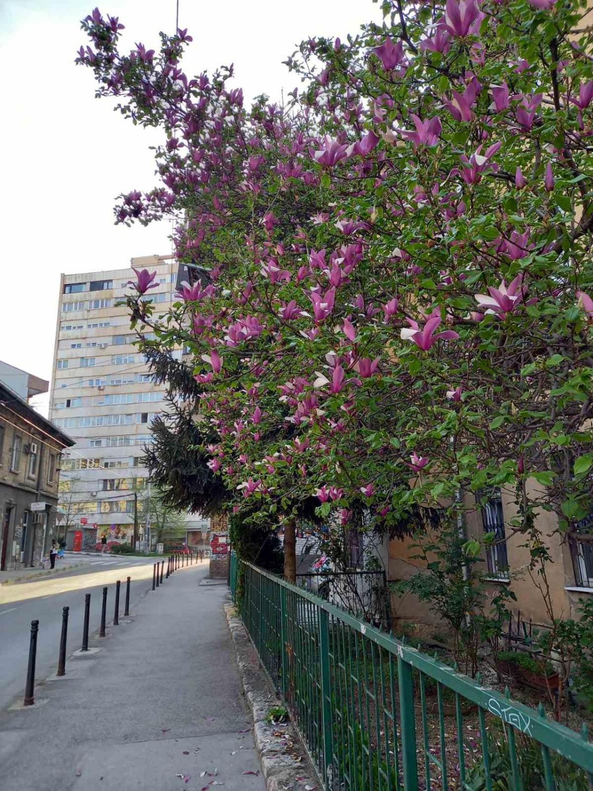 Hansa Apartment Сараево Екстериор снимка